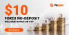 FXOpen $10 Forex No Deposit STP Bonus