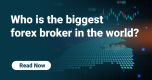 Who is the biggest forex broker in the world?